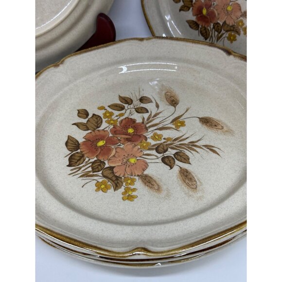 VTG Endura Collection Festive Stoneware Plates Japan Set of 5 Floral 10" - 7.25" - Picture 4 of 9